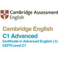Training for Cambridge C1 Advanced