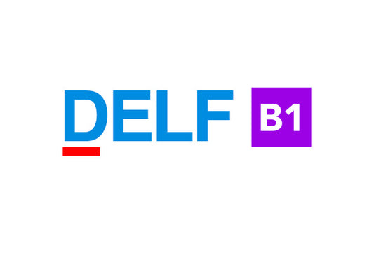 Preparación para DELF B1